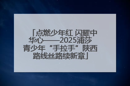 点燃少年红 闪耀中华心——2025浦莎青少年“手拉手”陕西路线丝路续新章