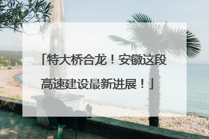 特大桥合龙！安徽这段高速建设最新进展！