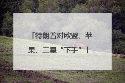 特朗普对欧盟、苹果、三星“下手”