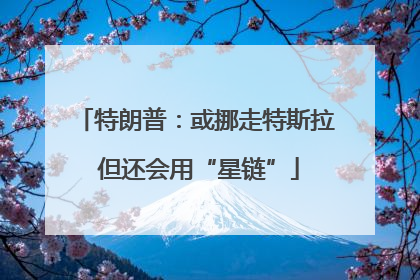 特朗普：或挪走特斯拉 但还会用“星链”
