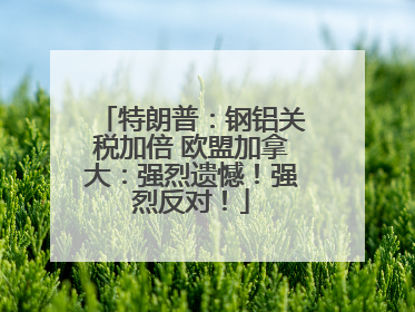 特朗普：钢铝关税加倍 欧盟加拿大：强烈遗憾！强烈反对！