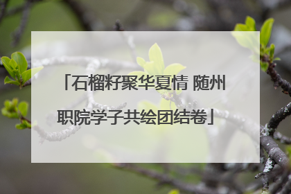 石榴籽聚华夏情 随州职院学子共绘团结卷