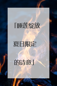 睡莲绽放 夏日限定的诗意