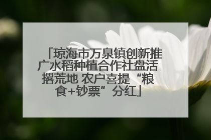 琼海市万泉镇创新推广水稻种植合作社盘活撂荒地 农户喜提“粮食+钞票”分红