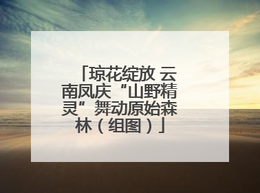 琼花绽放 云南凤庆“山野精灵”舞动原始森林（组图）