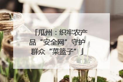 瓜州：织牢农产品“安全网”守护群众“菜篮子”