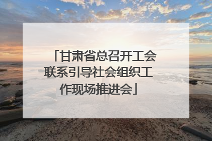 甘肃省总召开工会联系引导社会组织工作现场推进会