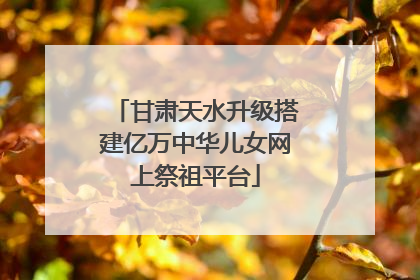 甘肃天水升级搭建亿万中华儿女网上祭祖平台