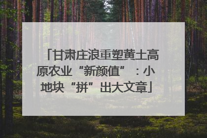 甘肃庄浪重塑黄土高原农业“新颜值”：小地块“拼”出大文章