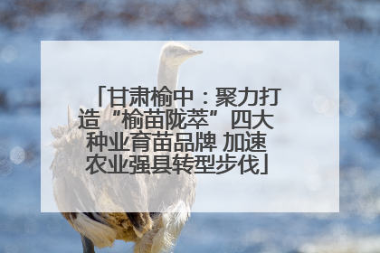 甘肃榆中：聚力打造“榆苗陇萃”四大种业育苗品牌 加速农业强县转型步伐
