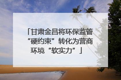 甘肃金昌将环保监管“硬约束”转化为营商环境“软实力”