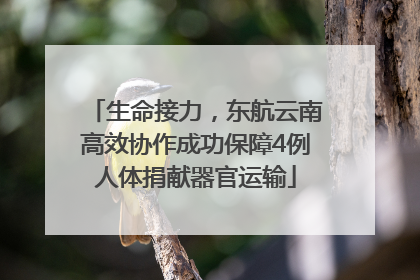 生命接力，东航云南高效协作成功保障4例人体捐献器官运输