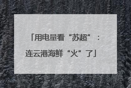 用电量看“苏超”：连云港海鲜“火”了