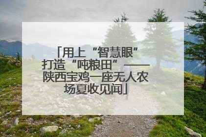 用上“智慧眼” 打造“吨粮田”——陕西宝鸡一座无人农场夏收见闻
