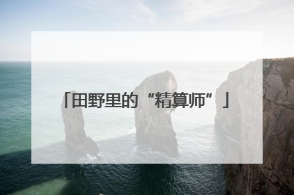 田野里的“精算师”