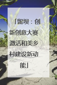 留坝：创新创意大赛激活和美乡村建设新动能