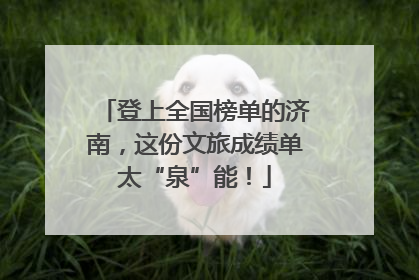 登上全国榜单的济南，这份文旅成绩单太“泉”能！