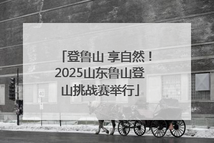 登鲁山 享自然！2025山东鲁山登山挑战赛举行
