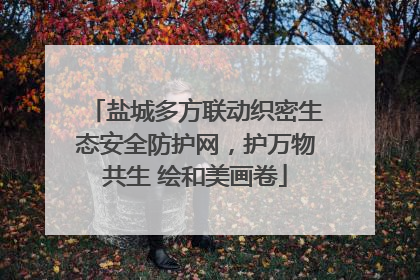 盐城多方联动织密生态安全防护网，护万物共生 绘和美画卷