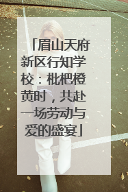 眉山天府新区行知学校：枇杷橙黄时，共赴一场劳动与爱的盛宴