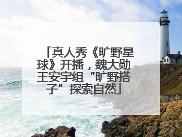 真人秀《旷野星球》开播，魏大勋王安宇组“旷野搭子”探索自然