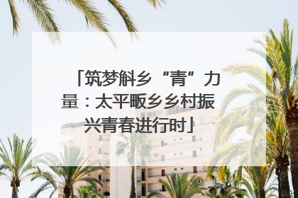 筑梦斛乡“青”力量：太平畈乡乡村振兴青春进行时