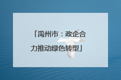 禹州市：政企合力推动绿色转型