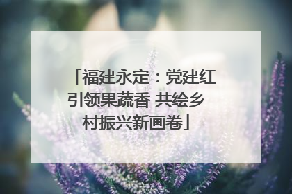 福建永定：党建红引领果蔬香 共绘乡村振兴新画卷