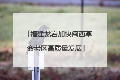福建龙岩加快闽西革命老区高质量发展
