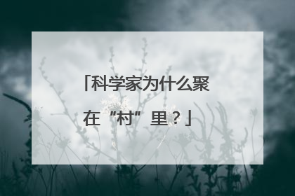 科学家为什么聚在“村”里？