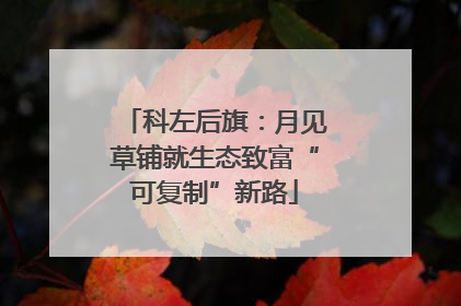 科左后旗：月见草铺就生态致富“可复制”新路