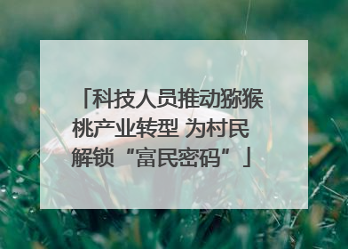 科技人员推动猕猴桃产业转型 为村民解锁“富民密码”