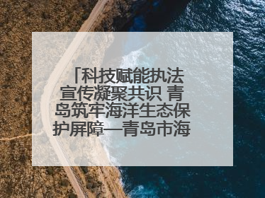 科技赋能执法 宣传凝聚共识 青岛筑牢海洋生态保护屏障—青岛市海洋发展局开展“世界海洋日”和“全国海洋宣传日”宣传活动