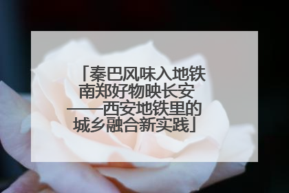 秦巴风味入地铁 南郑好物映长安——西安地铁里的城乡融合新实践