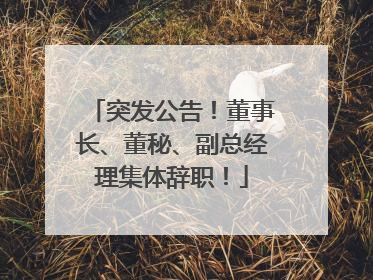 突发公告！董事长、董秘、副总经理集体辞职！