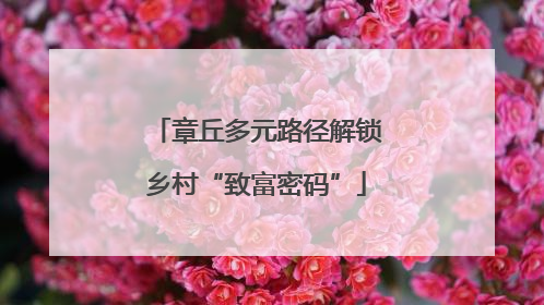 章丘多元路径解锁乡村“致富密码”