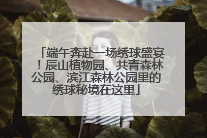 端午奔赴一场绣球盛宴！辰山植物园、共青森林公园、滨江森林公园里的绣球秘境在这里