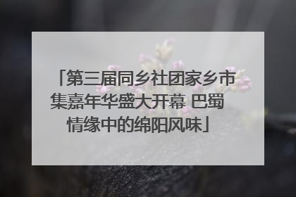 第三届同乡社团家乡市集嘉年华盛大开幕 巴蜀情缘中的绵阳风味