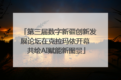 第三届数字新疆创新发展论坛在克拉玛依开幕 共绘AI赋能新图景