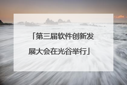 第三届软件创新发展大会在光谷举行