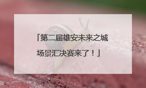 第二届雄安未来之城场景汇决赛来了！