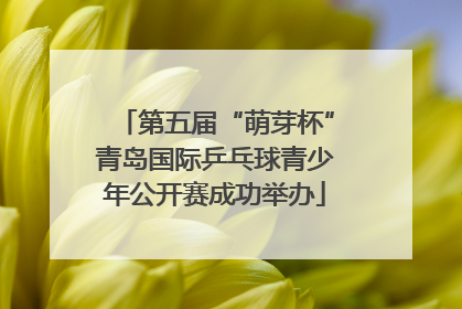 第五届“萌芽杯”青岛国际乒乓球青少年公开赛成功举办