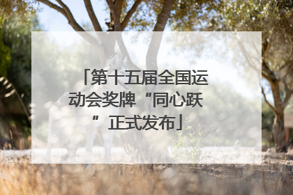 第十五届全国运动会奖牌“同心跃”正式发布