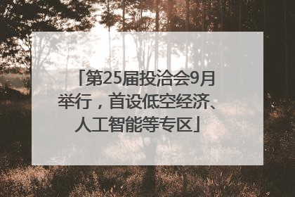 第25届投洽会9月举行，首设低空经济、人工智能等专区