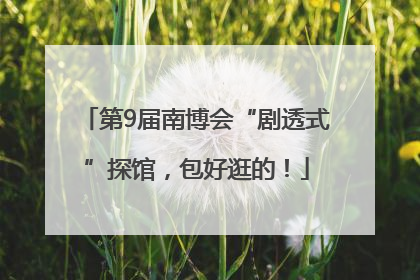 第9届南博会“剧透式”探馆，包好逛的！