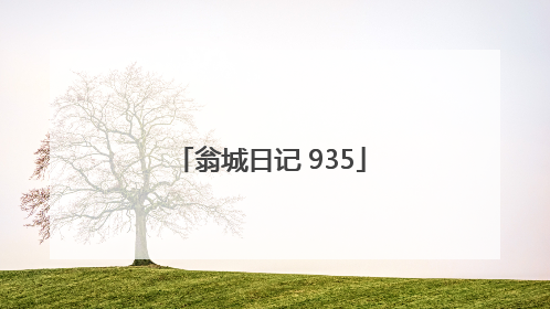 翁城日记 935
