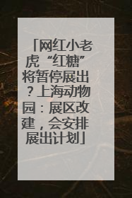 网红小老虎“红糖”将暂停展出？上海动物园：展区改建，会安排展出计划