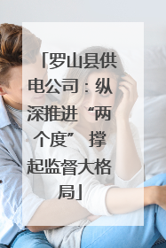 罗山县供电公司：纵深推进“两个度” 撑起监督大格局