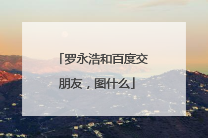 罗永浩和百度交朋友，图什么