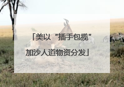 美以“插手包揽”加沙人道物资分发